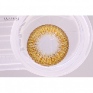 LENSME Mega Look M3 BROWN(月拋)